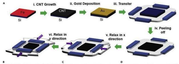 yp街机·电子游戏(中国)最新官网